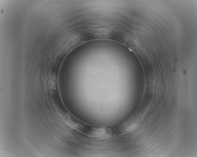 X0000089710083200706211354