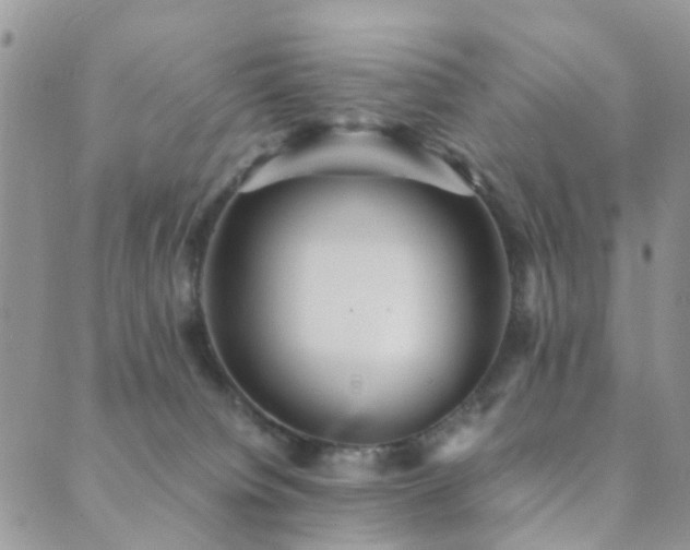 X0000089710084200706211354