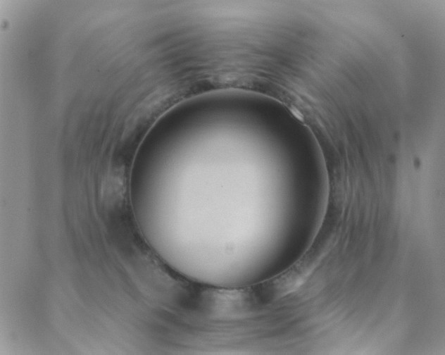 X0000089710085200706211354