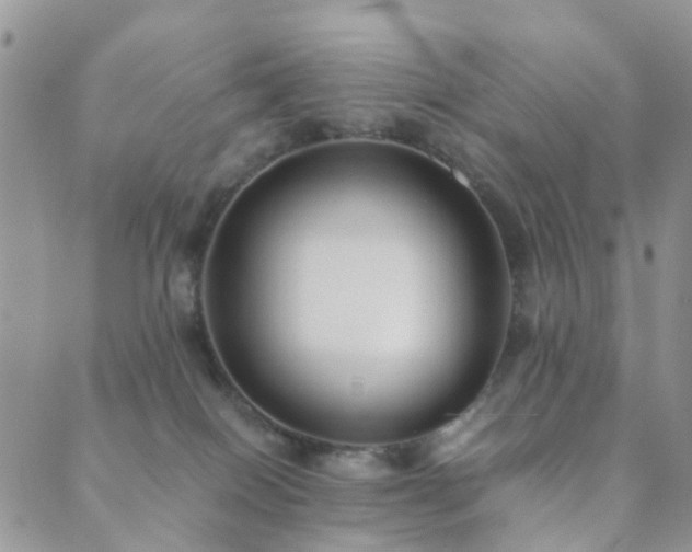 X0000089710086200706211354