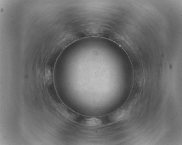 X0000089710087200706211354