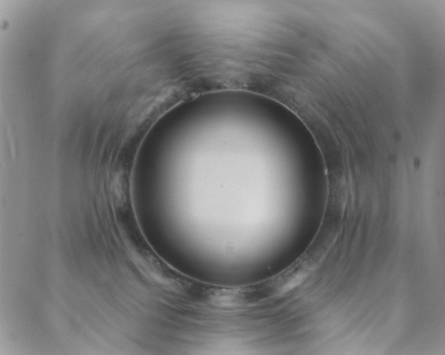 X0000089710088200706211354