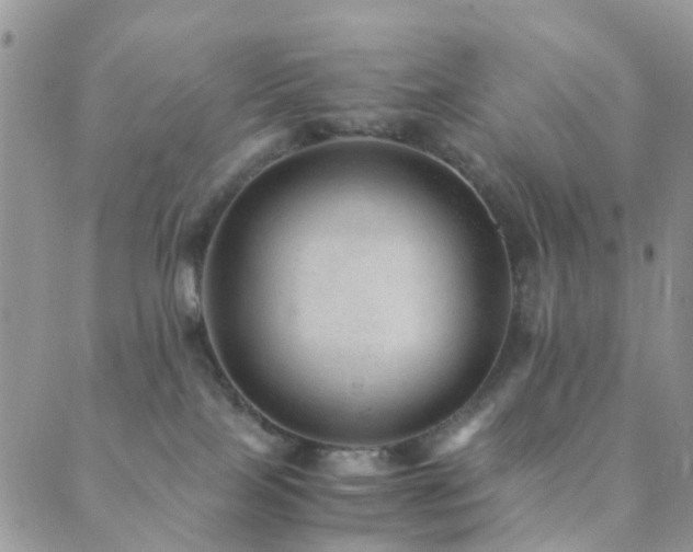 X0000089710089200706211354