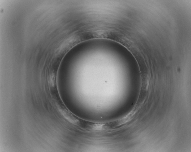 X0000089710090200706211354