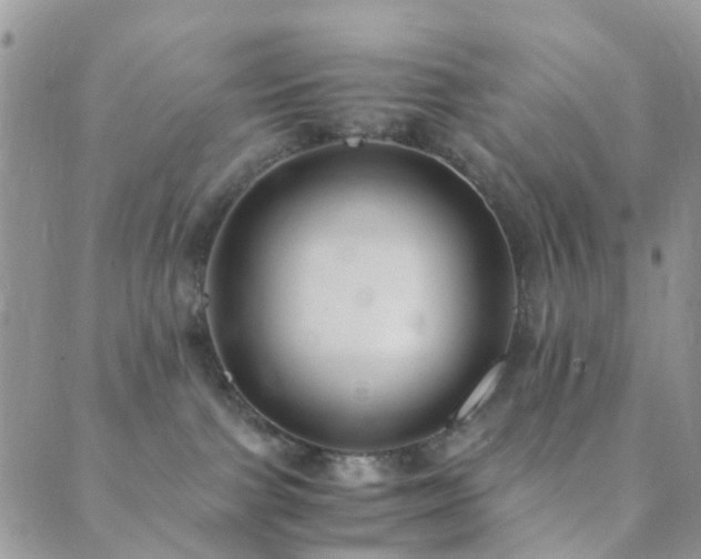 X0000089710091200706211354