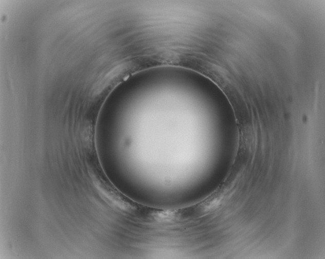 X0000089710092200706211354