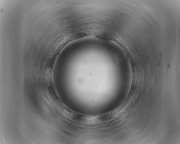 X0000089710093200706211354