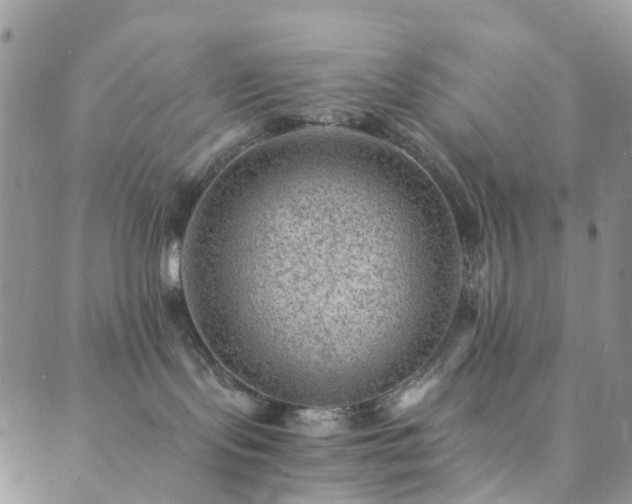 X0000089710095200706211354