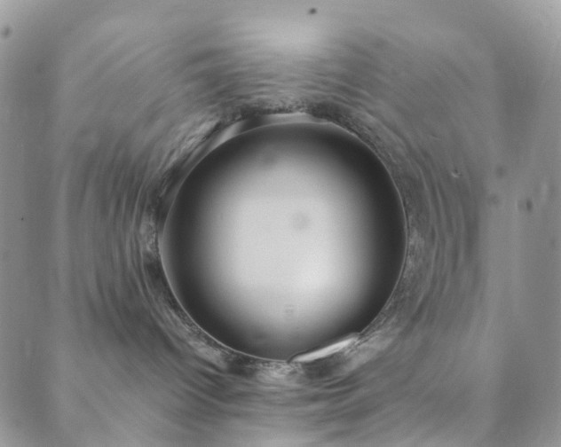 X0000089710096200706211354