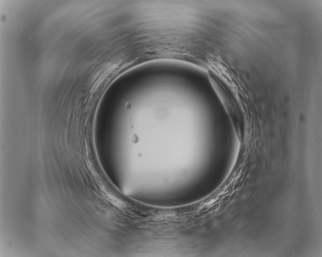 X0000089710097200706211353