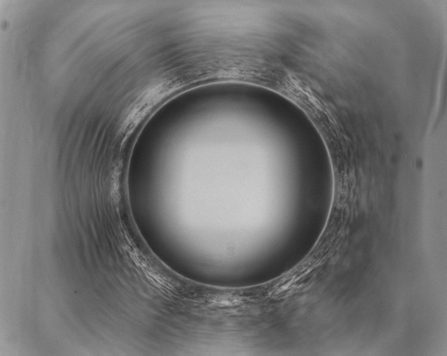 X0000089710098200706211353