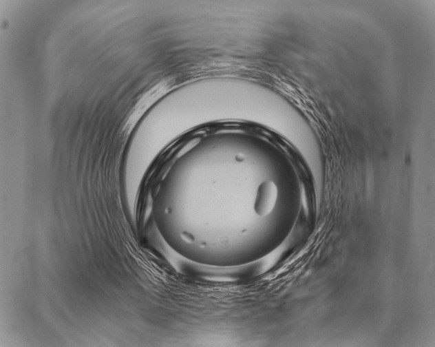 X0000089710099200706211353