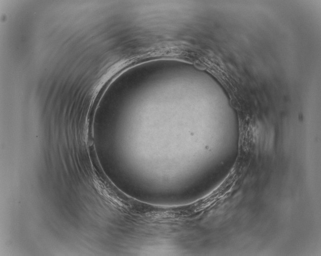 X0000089710100200706211353