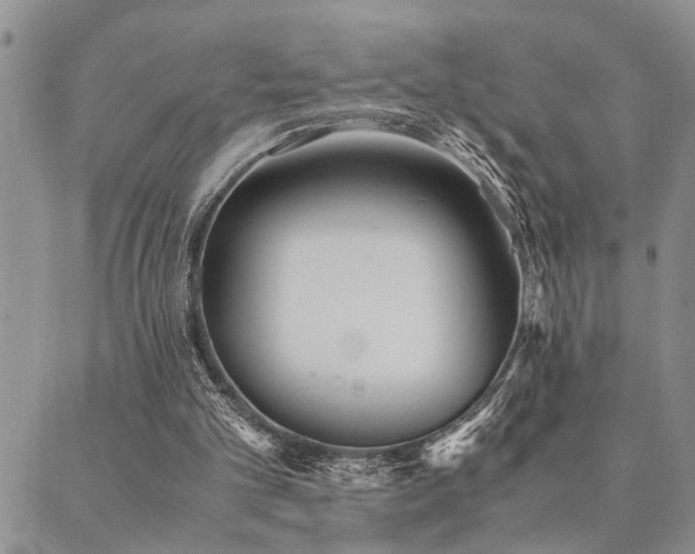 X0000089710101200706211353