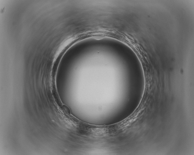 X0000089710102200706211353