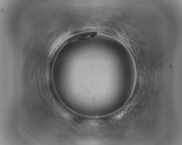 X0000089710103200706211353