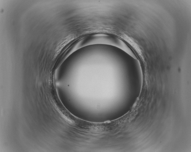 X0000089710105200706211353