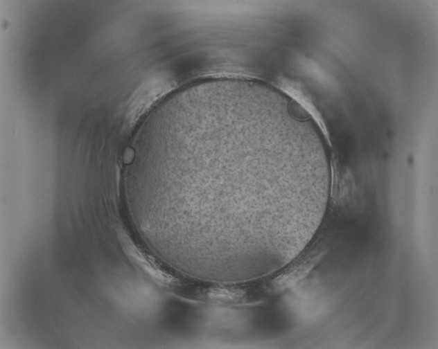 X0000089710109200706211353