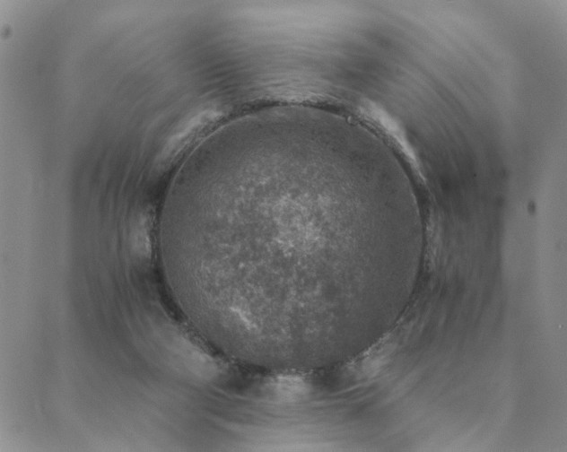 X0000089710114200706211353