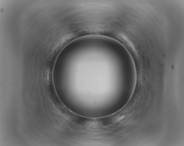 X0000089710115200706211353