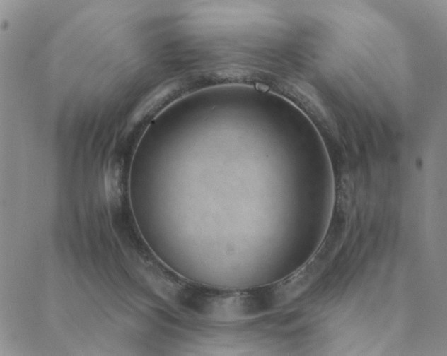 X0000089710116200706211353