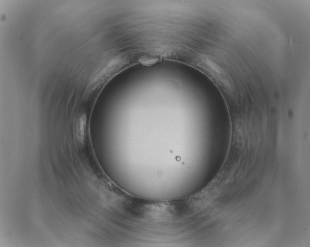 X0000089710118200706211353