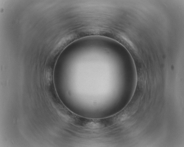 X0000089710119200706211353