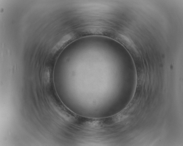 X0000089710120200706211353