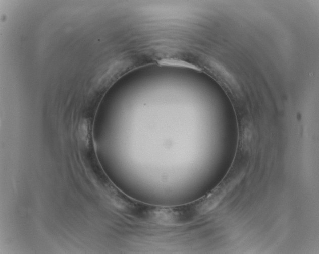 X0000089710121200706211353