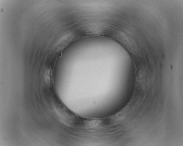 X0000089710122200706211353