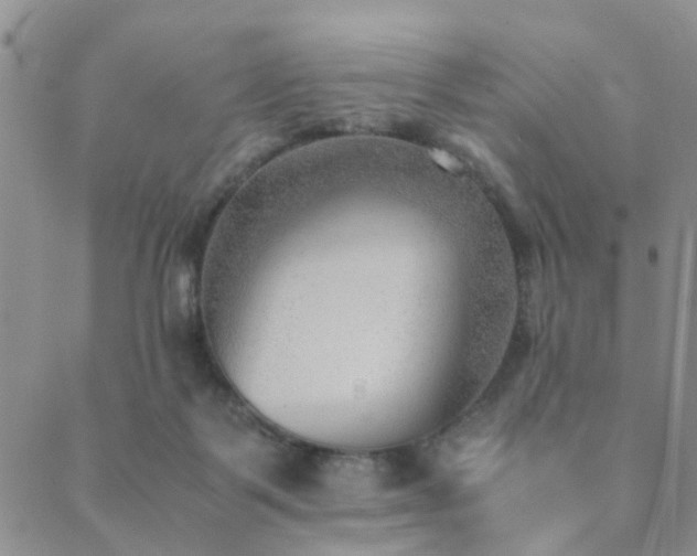 X0000089710123200706211353