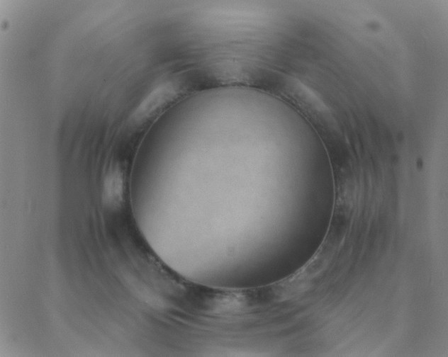 X0000089710124200706211353