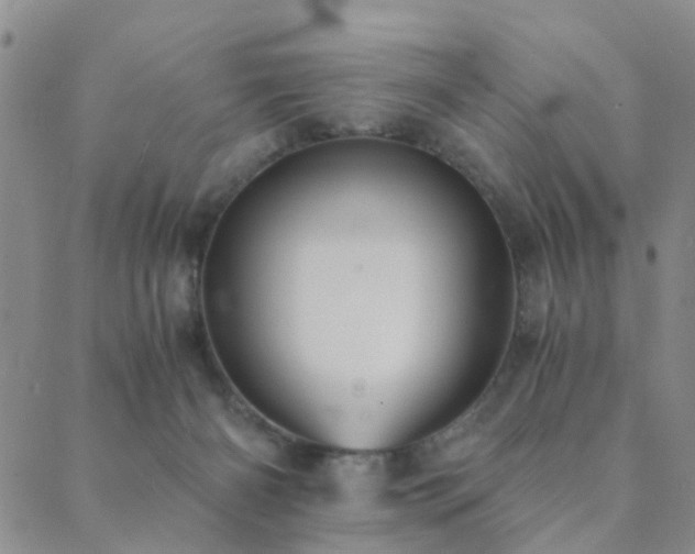 X0000089710126200706211353