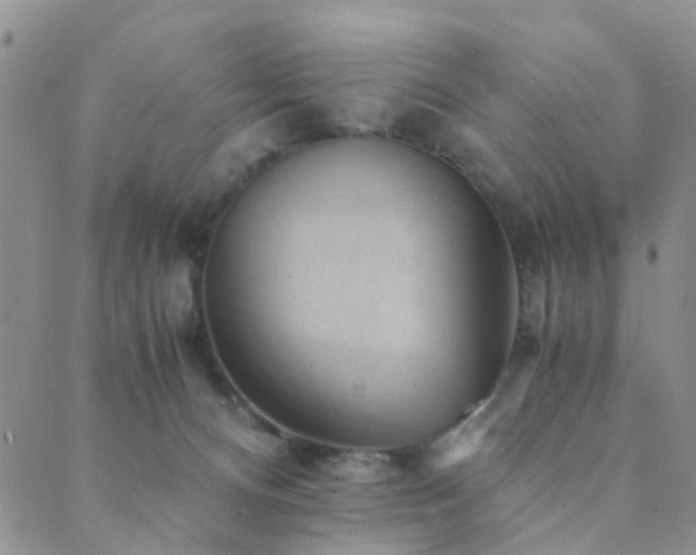 X0000089710128200706211353