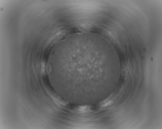 X0000089710130200706211353