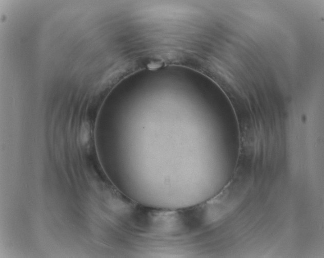 X0000089710132200706211353