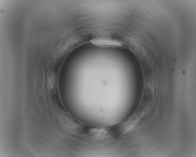 X0000089710133200706211353