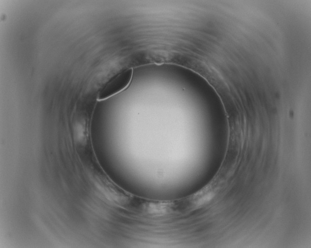 X0000089710134200706211353