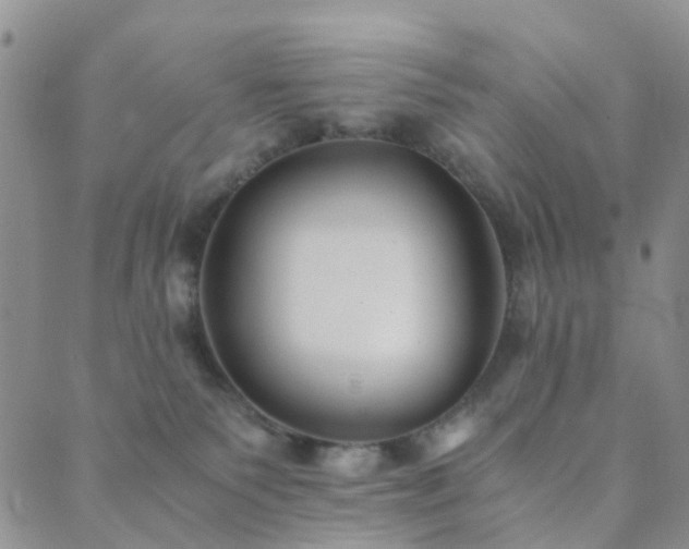 X0000089710135200706211353