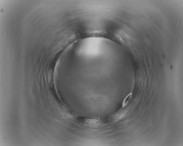 X0000089710139200706211353