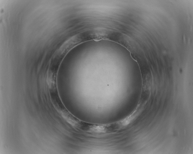 X0000089710140200706211353