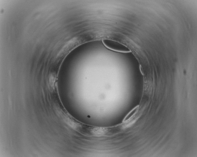 X0000089710142200706211353