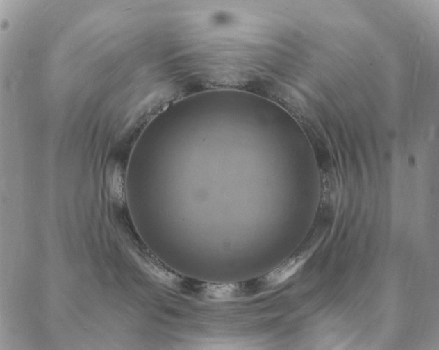 X0000089710143200706211353