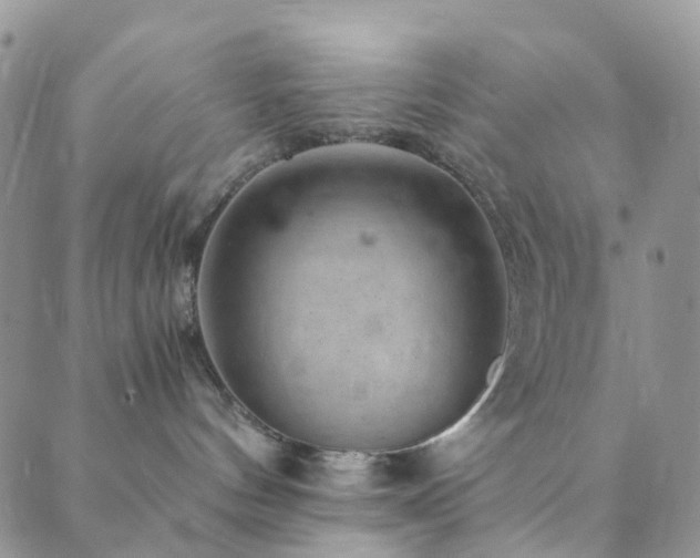 X0000089710144200706211353