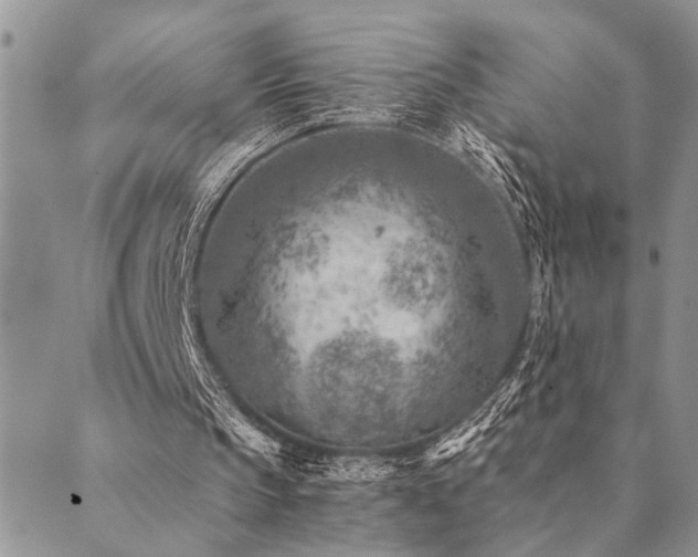 X0000089710145200706211352