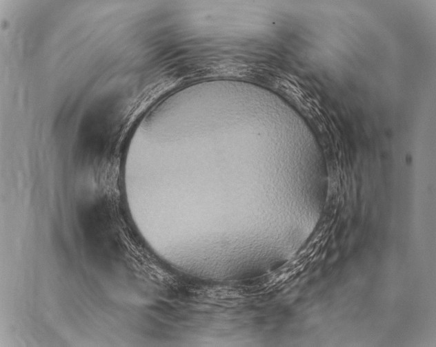 X0000089710146200706211352