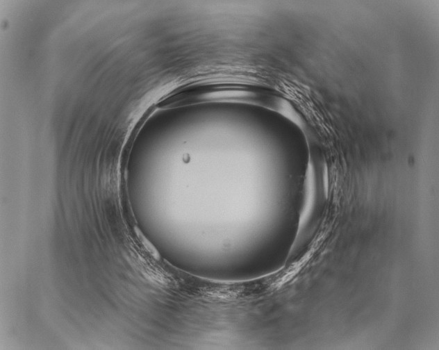 X0000089710148200706211352