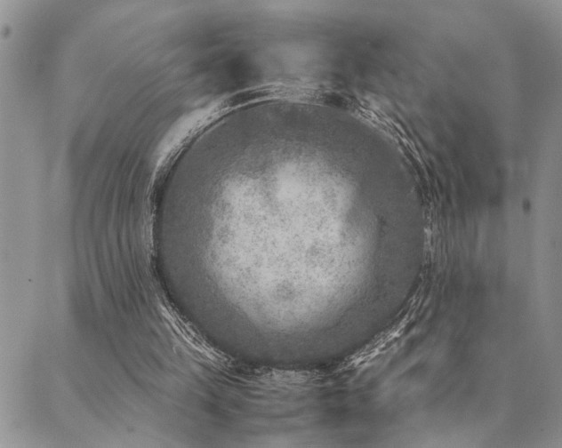 X0000089710149200706211352