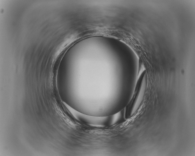 X0000089710150200706211352