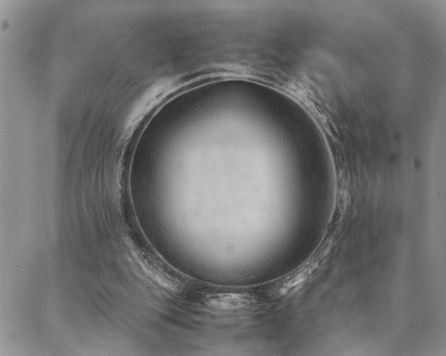 X0000089710151200706211352